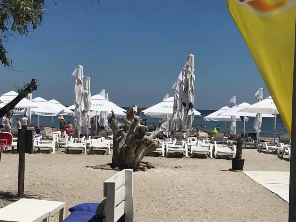 BOCCA BEACH STUDIO