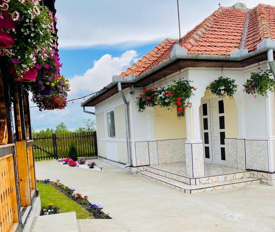 Casa Maria Platoul Luncanilor