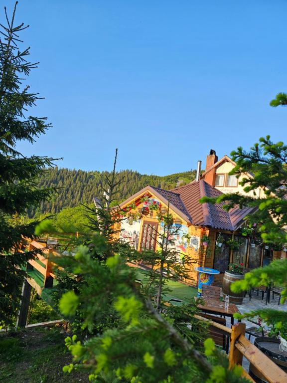 Cabana Edelweiss