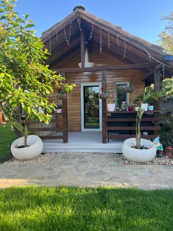 Cabana Sorina