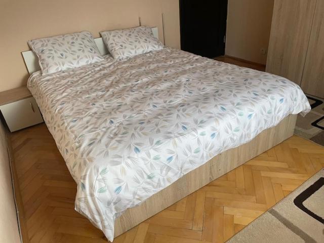 Casa Ambient