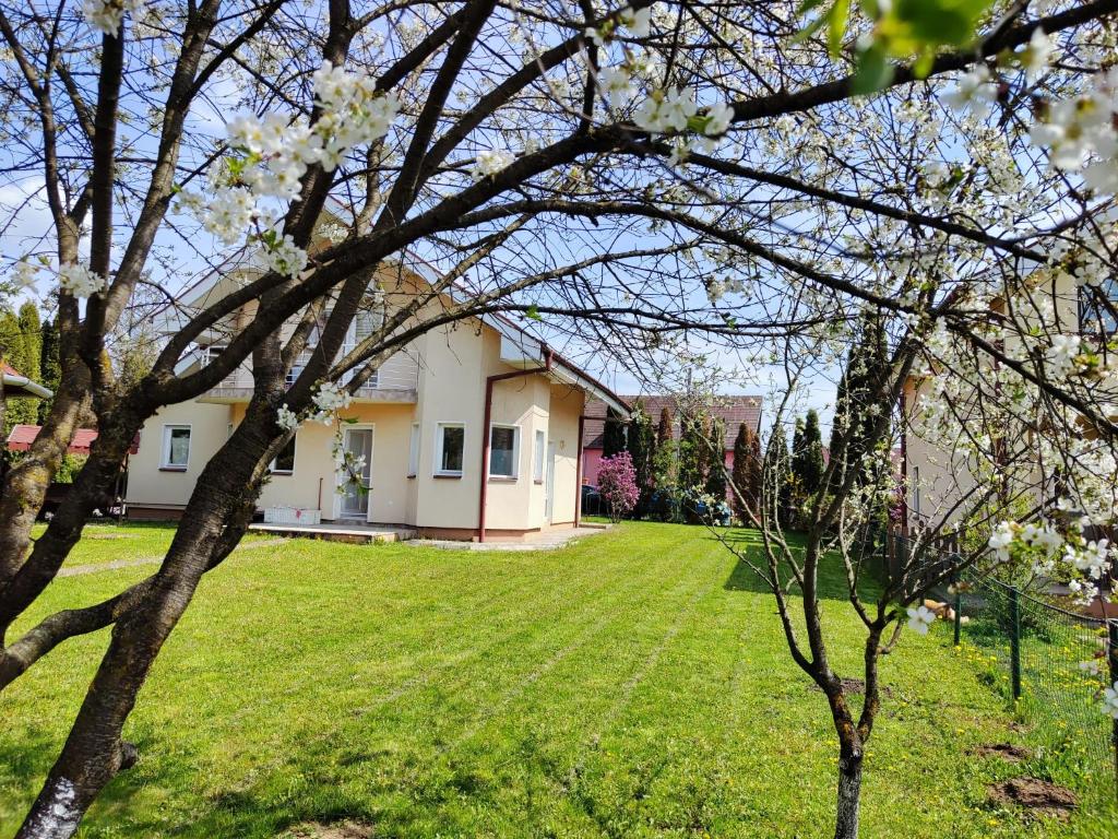 Casa Livezeni