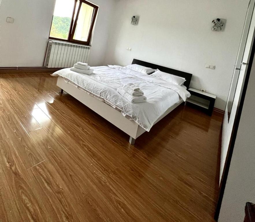 Casa Rus