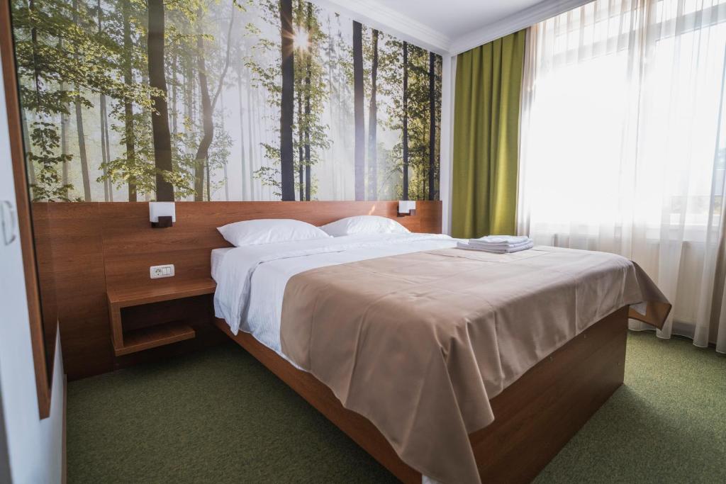 Hotel Comat Deva