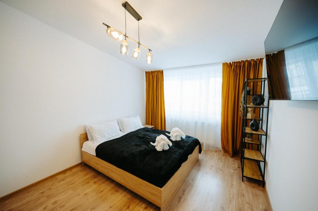 Modern Studio