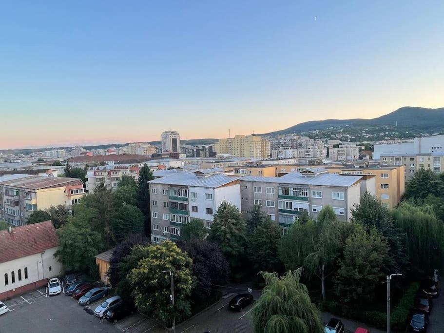 Olivier Apartment