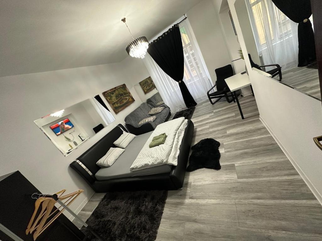 Ultra Central Piata Libertatii Apartment