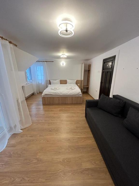 Vila Artemis Straja
