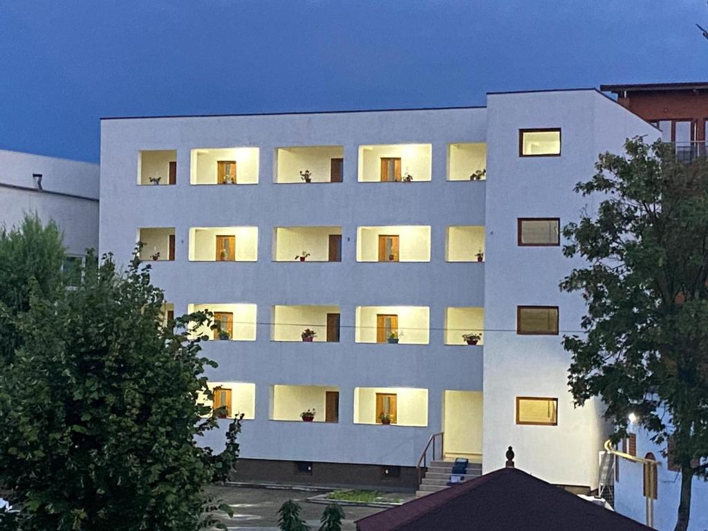 Vila II Poieniţa