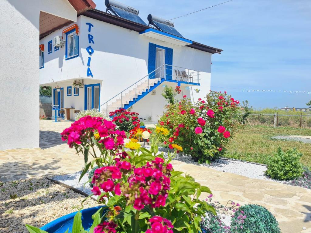 Vila Troia Vama Veche